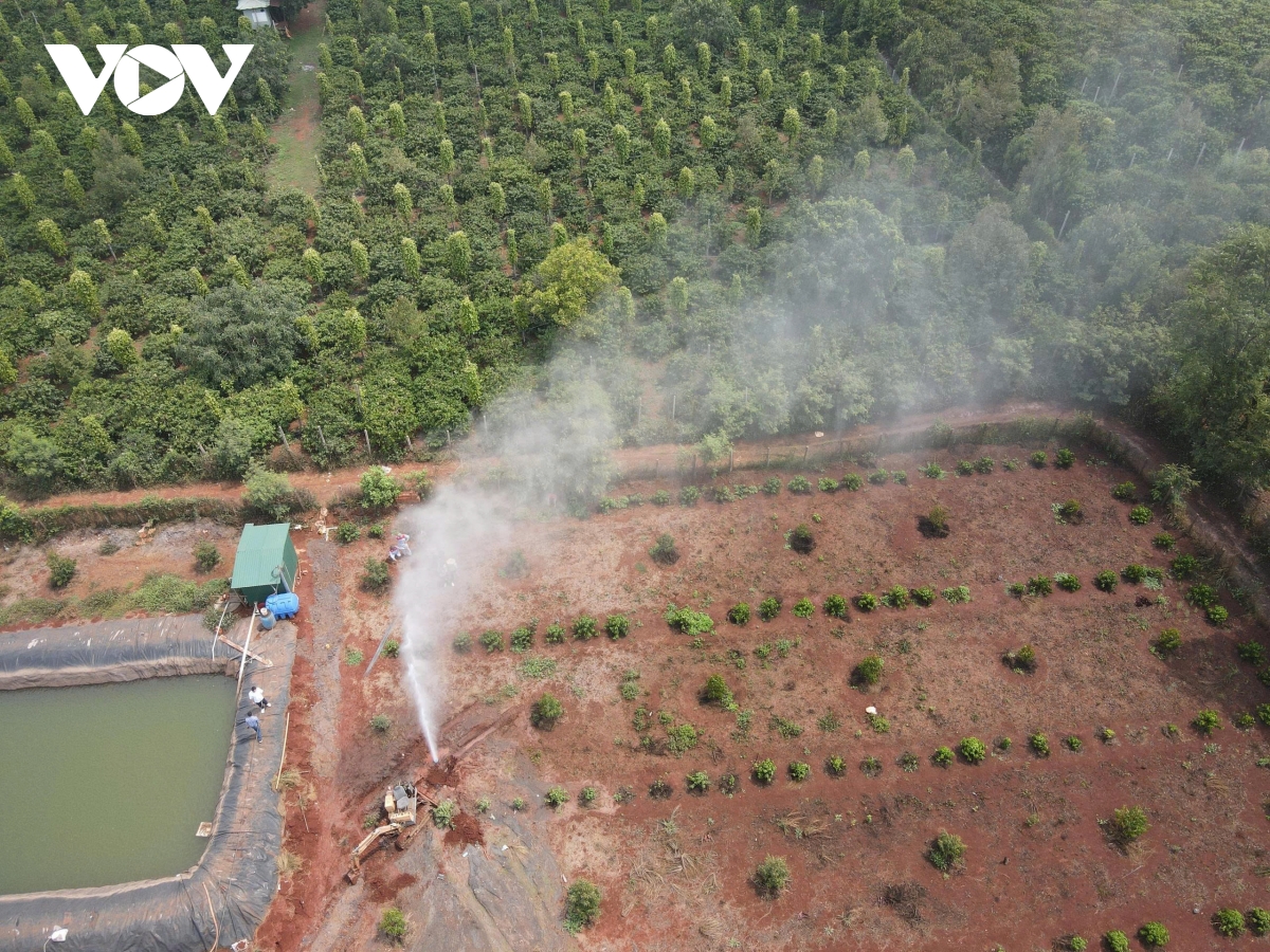 xuat hien gieng khoan phun cot nuoc cao hang chuc met o gia lai hinh anh 2