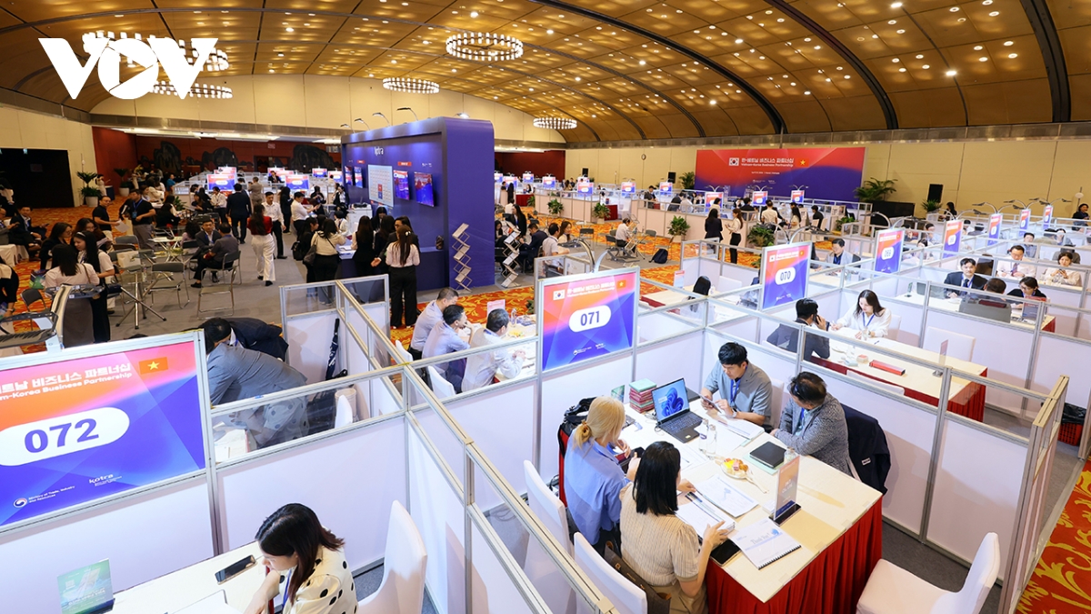 doanh nghiep viet - han thuc hien 650 cuoc giao thuong tai vietnam-korea business hinh anh 1