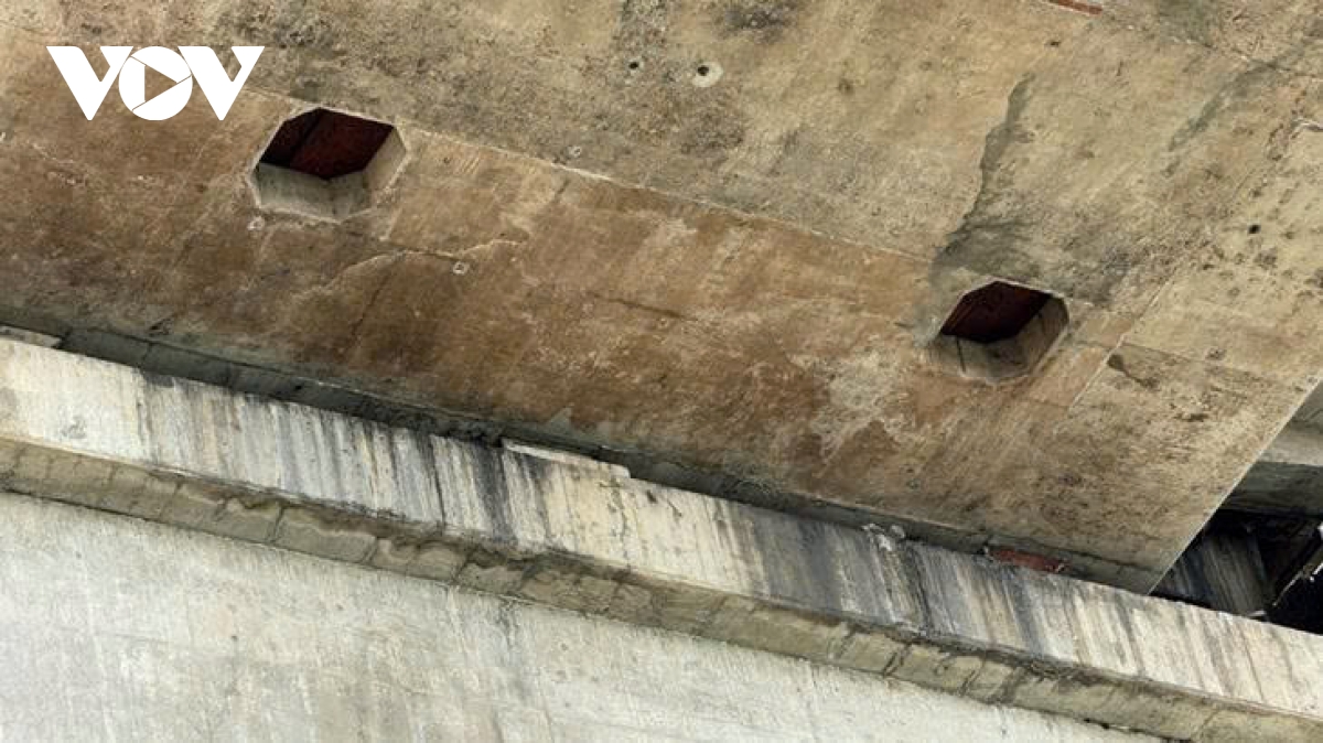 cau long thanh bi qua tai, co dau hieu xuong cap gay lo ngai ve an toan hinh anh 6