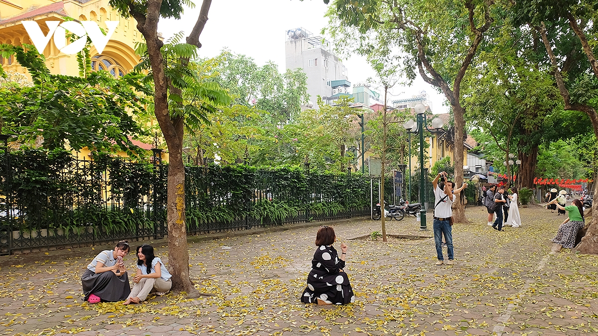 pho ha noi dep diu dang mua sau rung la hinh anh 7