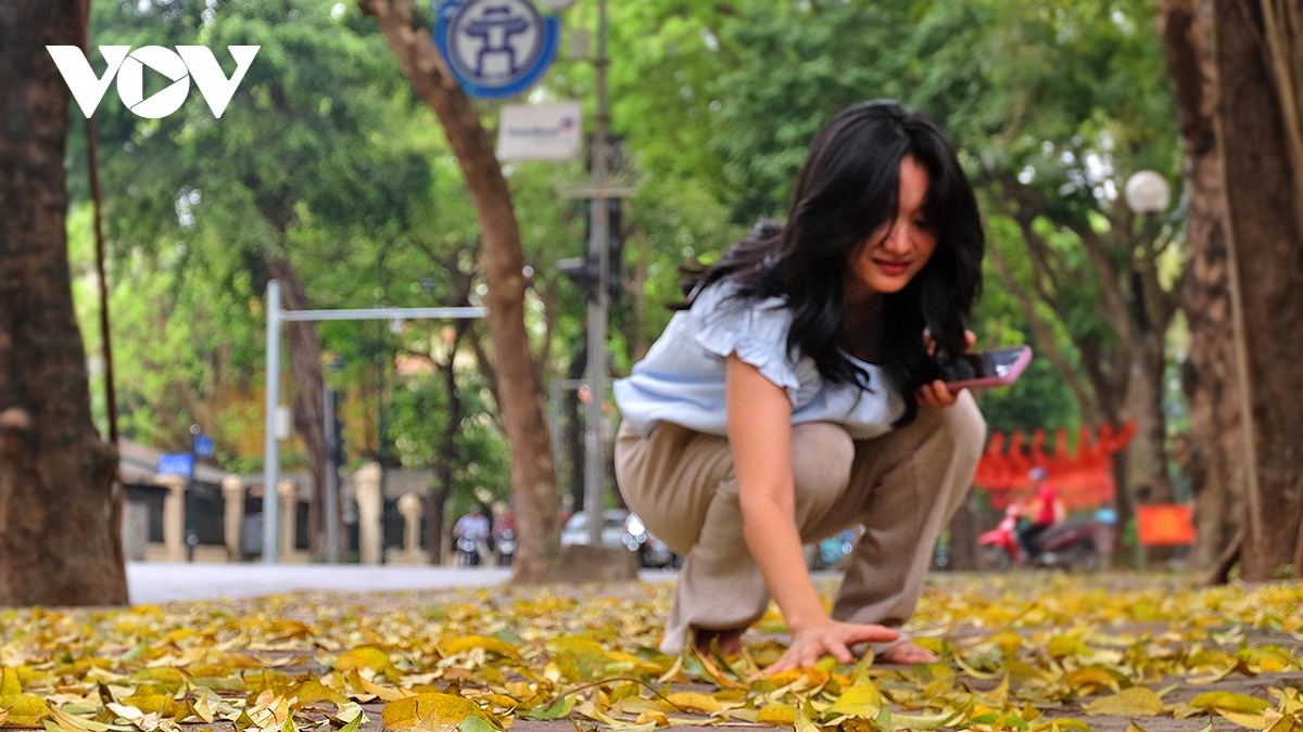 pho ha noi dep diu dang mua sau rung la hinh anh 13