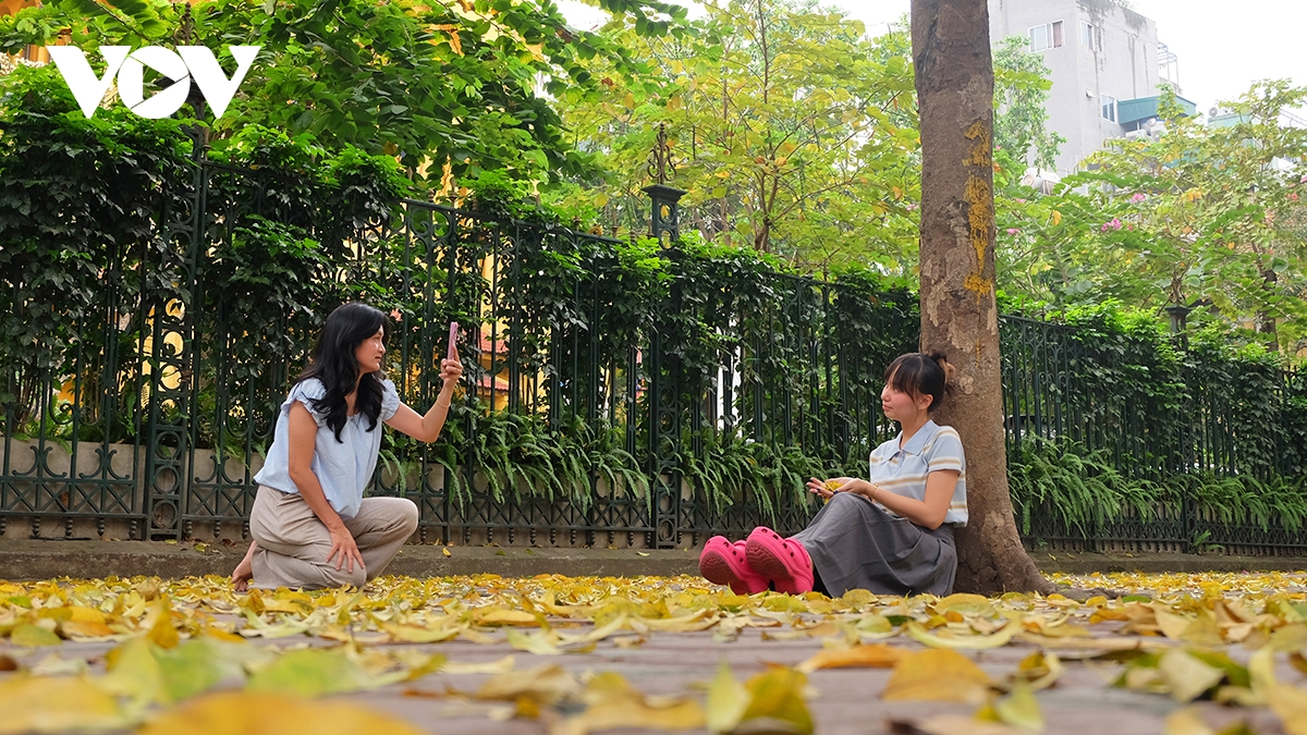 pho ha noi dep diu dang mua sau rung la hinh anh 12