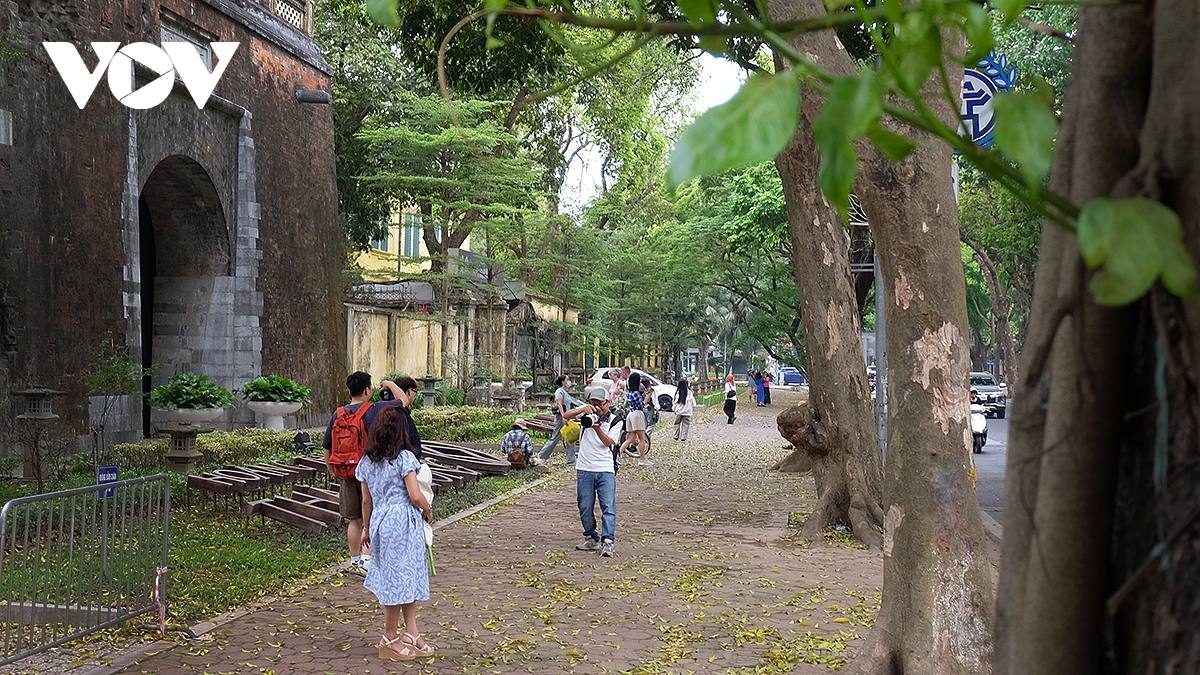 pho ha noi dep diu dang mua sau rung la hinh anh 16