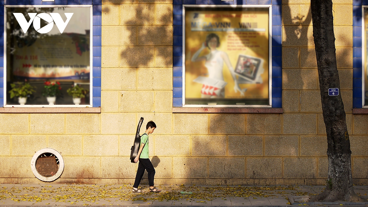 pho ha noi dep diu dang mua sau rung la hinh anh 10