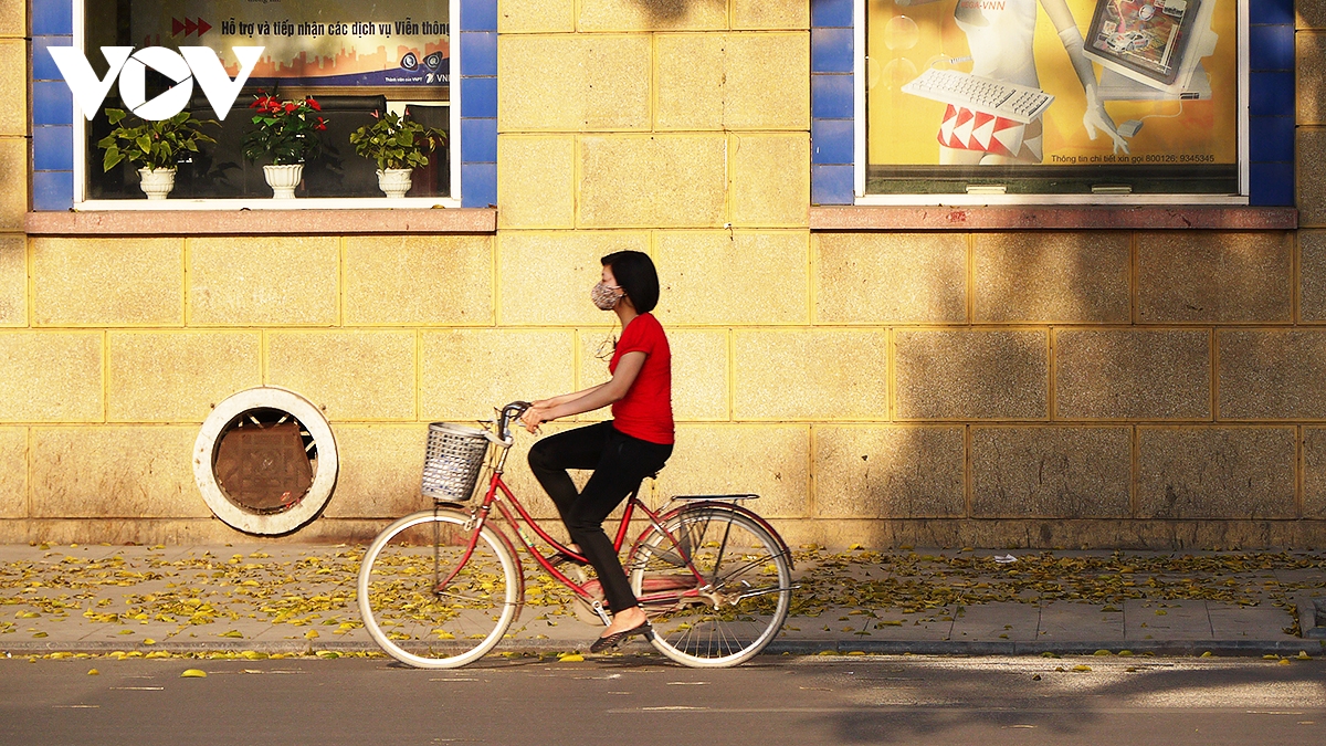 pho ha noi dep diu dang mua sau rung la hinh anh 11