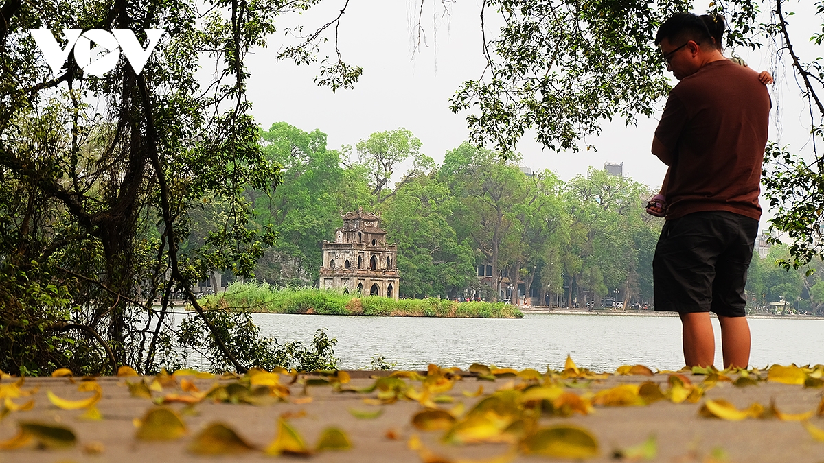 pho ha noi dep diu dang mua sau rung la hinh anh 2