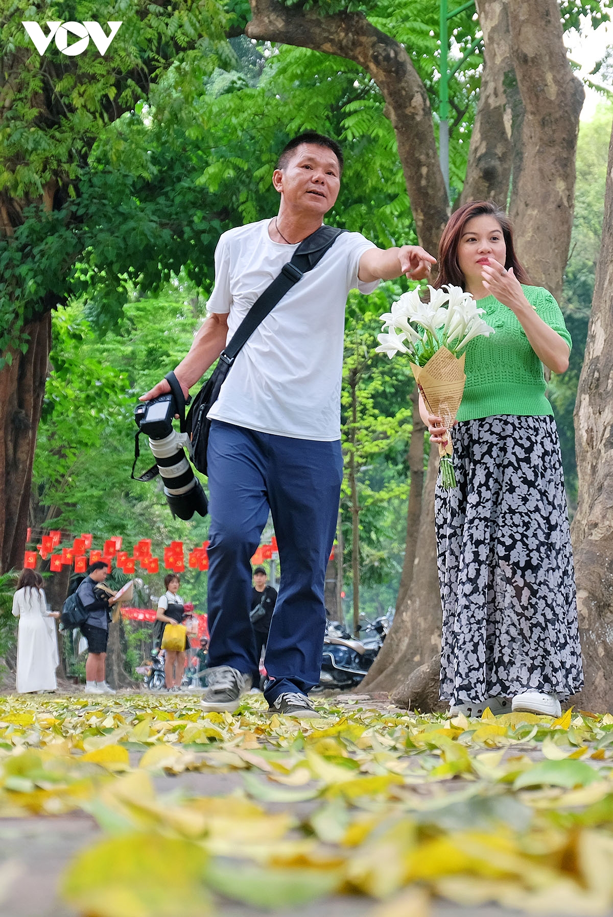 pho ha noi dep diu dang mua sau rung la hinh anh 17