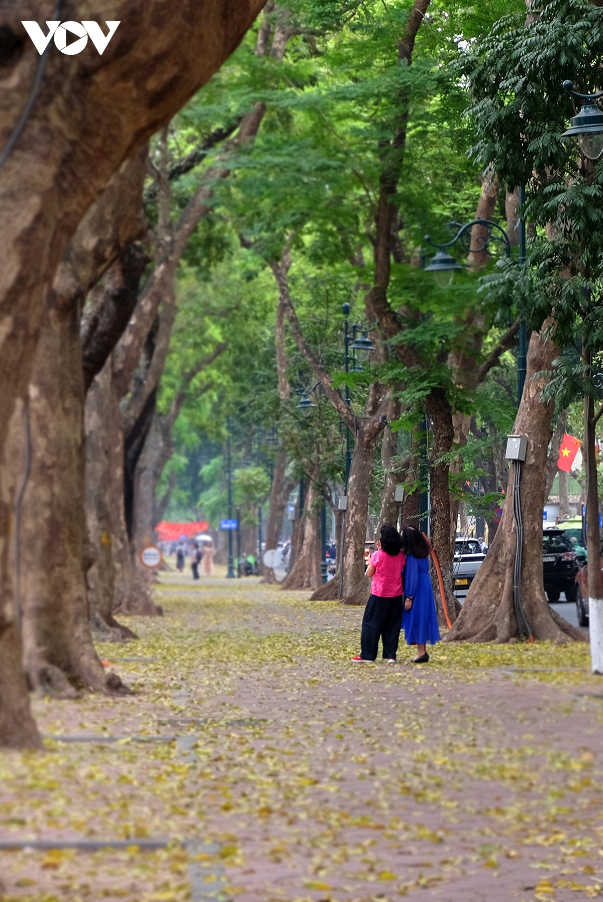 pho ha noi dep diu dang mua sau rung la hinh anh 6