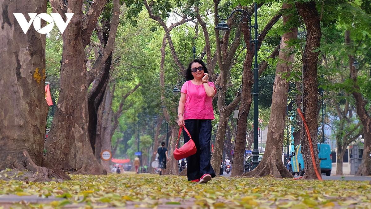 pho ha noi dep diu dang mua sau rung la hinh anh 9