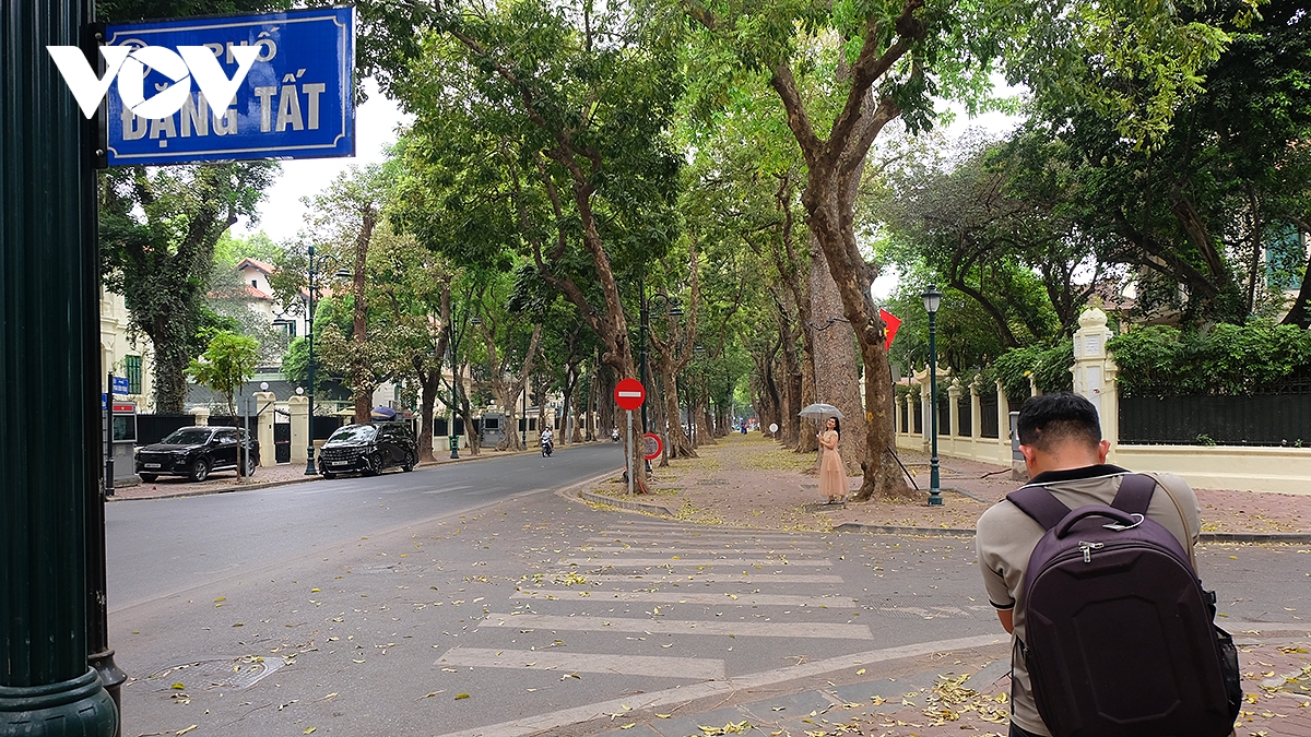 pho ha noi dep diu dang mua sau rung la hinh anh 18