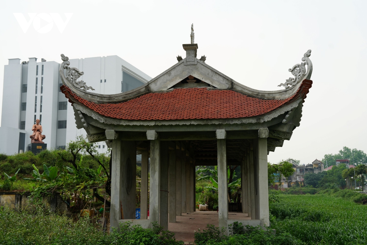 vuon hoa 8 nam bo hoang phan cam tuong Dai thi hao nguyen du giua mo phan, co dai hinh anh 2