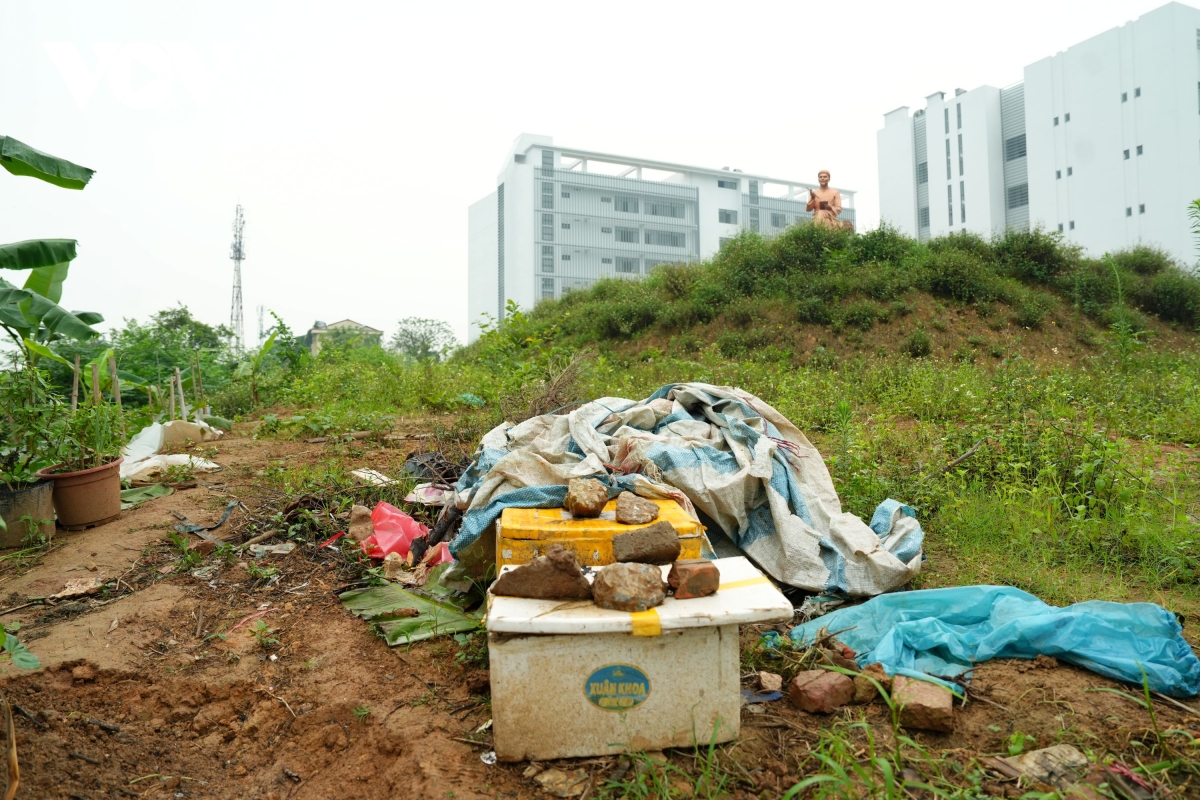 vuon hoa 8 nam bo hoang phan cam tuong Dai thi hao nguyen du giua mo phan, co dai hinh anh 11