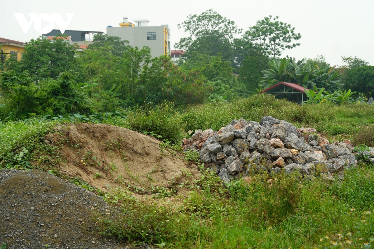 vuon hoa 8 nam bo hoang phan cam tuong Dai thi hao nguyen du giua mo phan, co dai hinh anh 12