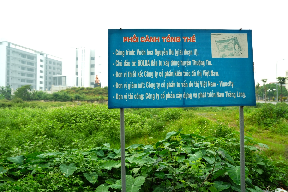 vuon hoa 8 nam bo hoang phan cam tuong Dai thi hao nguyen du giua mo phan, co dai hinh anh 1