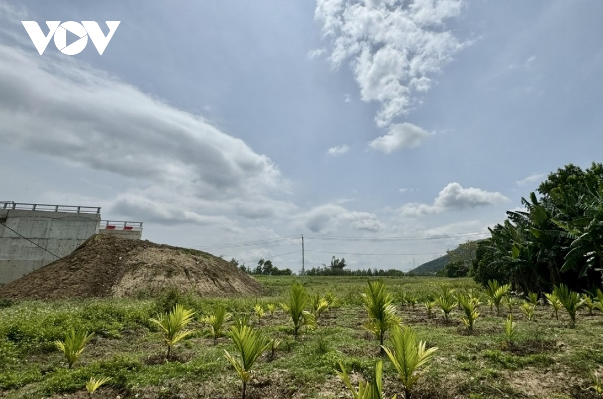 Dak lak chuyen 30.000m3 dat thai sang dap duong len cau de som khai thac hinh anh 2