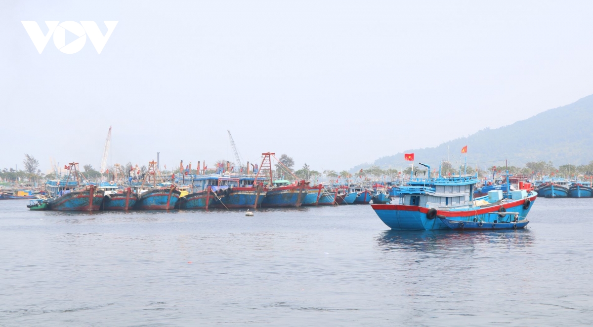 nang nong gay gat, Da nang chu dong phong chay chua chay tai au thuyen, cang ca hinh anh 1