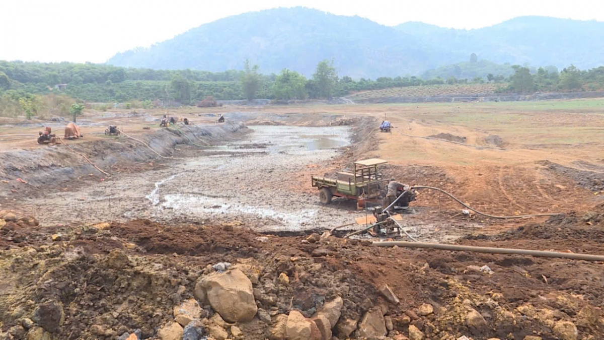 nong dan gia lai doi mat noi lo thieu nuoc tuoi giua cao diem mua kho hinh anh 2