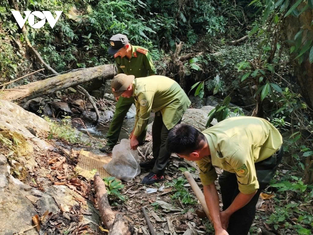 Người dân Lâm Đồng tự nguyện giao nộp động vật quý hiếm, thả về rừng