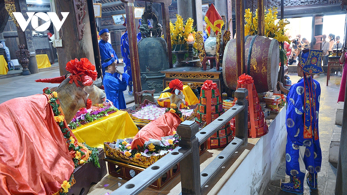 Dac sac nghi le ruoc nuoc cung dang thanh tai le hoi truyen thong lang bat trang hinh anh 18