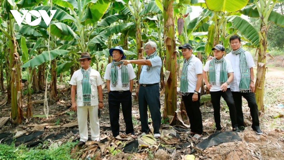 tu cua lot, chanh vang den chuoi, ai nang tam nong san viet hinh anh 3
