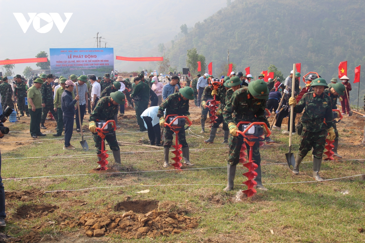 Dien bien phat dong trong 12.000ha ca phe, mac ca tren toan tinh hinh anh 1
