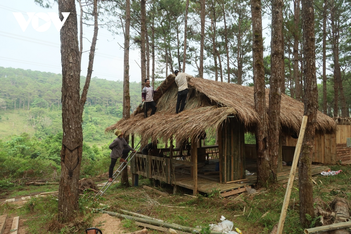 mang Den hut khach dip nghi le 30 4 hinh anh 5