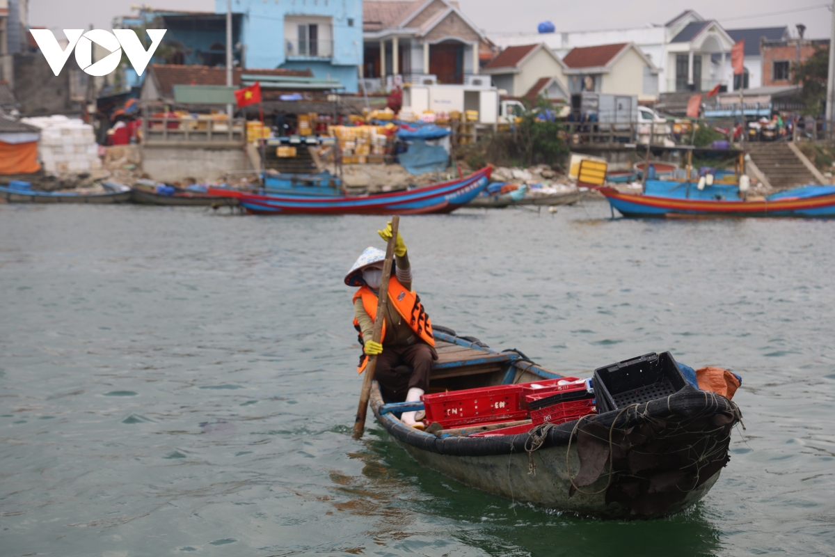 Dam bao an toan cho du khach ra dao ly son hinh anh 13