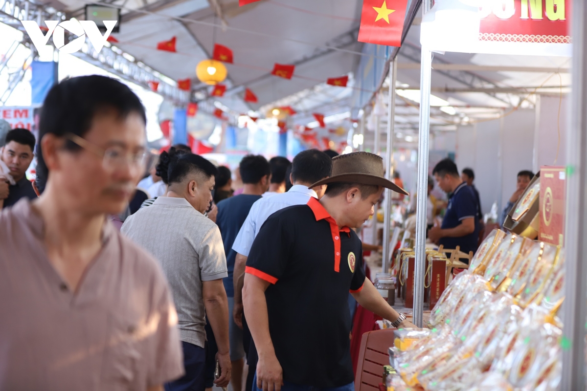 hang van du khach do ve bien thinh long ninh binh ngay khai mac hinh anh 9