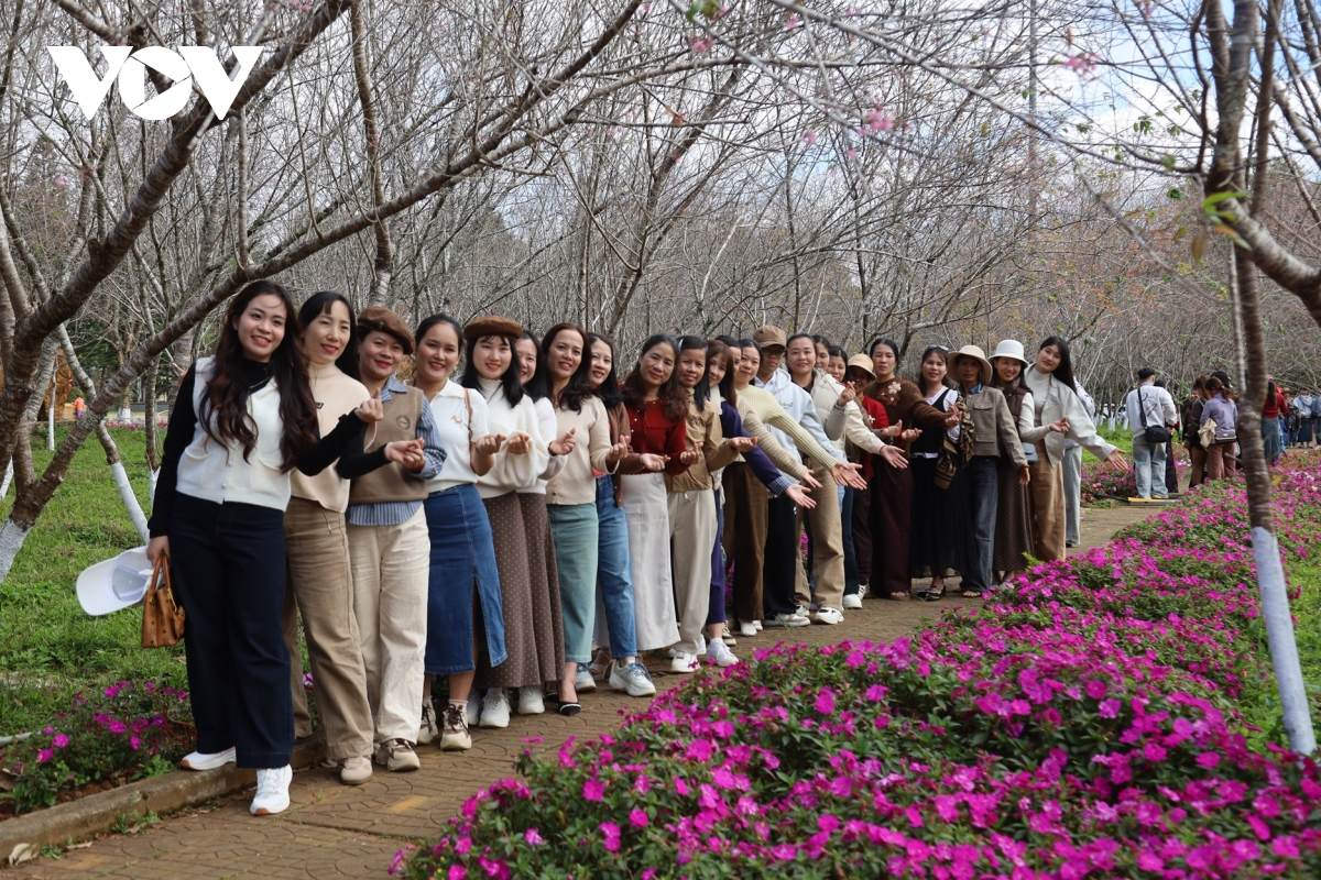 mang Den hut khach dip nghi le 30 4 hinh anh 3