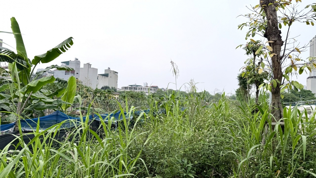 kenh la khe truoc ap luc tien do cach nao go cac nut that ton dong hinh anh 15