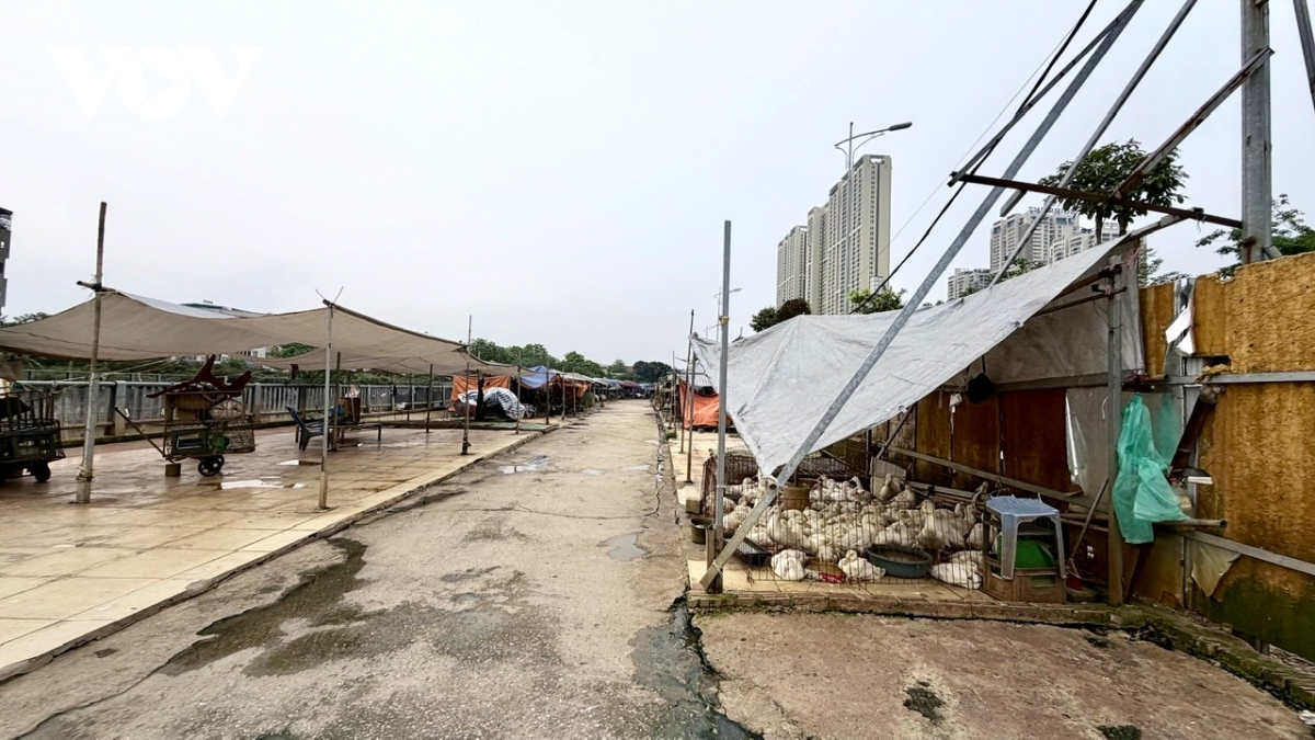 kenh la khe truoc ap luc tien do cach nao go cac nut that ton dong hinh anh 11