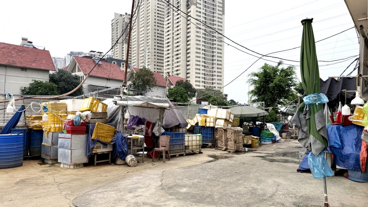 kenh la khe truoc ap luc tien do cach nao go cac nut that ton dong hinh anh 10