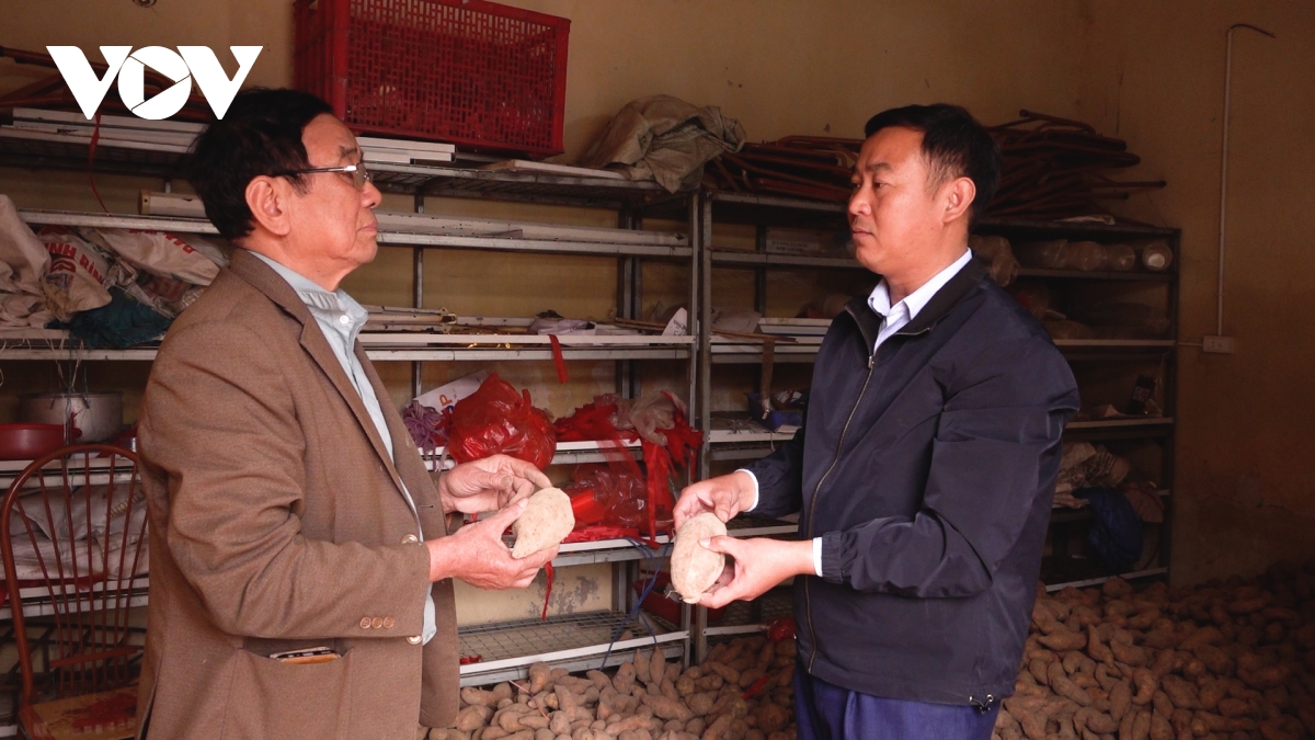 lien ket hop tac xa - doanh nghiep can mot co che hop dong dai han hinh anh 2