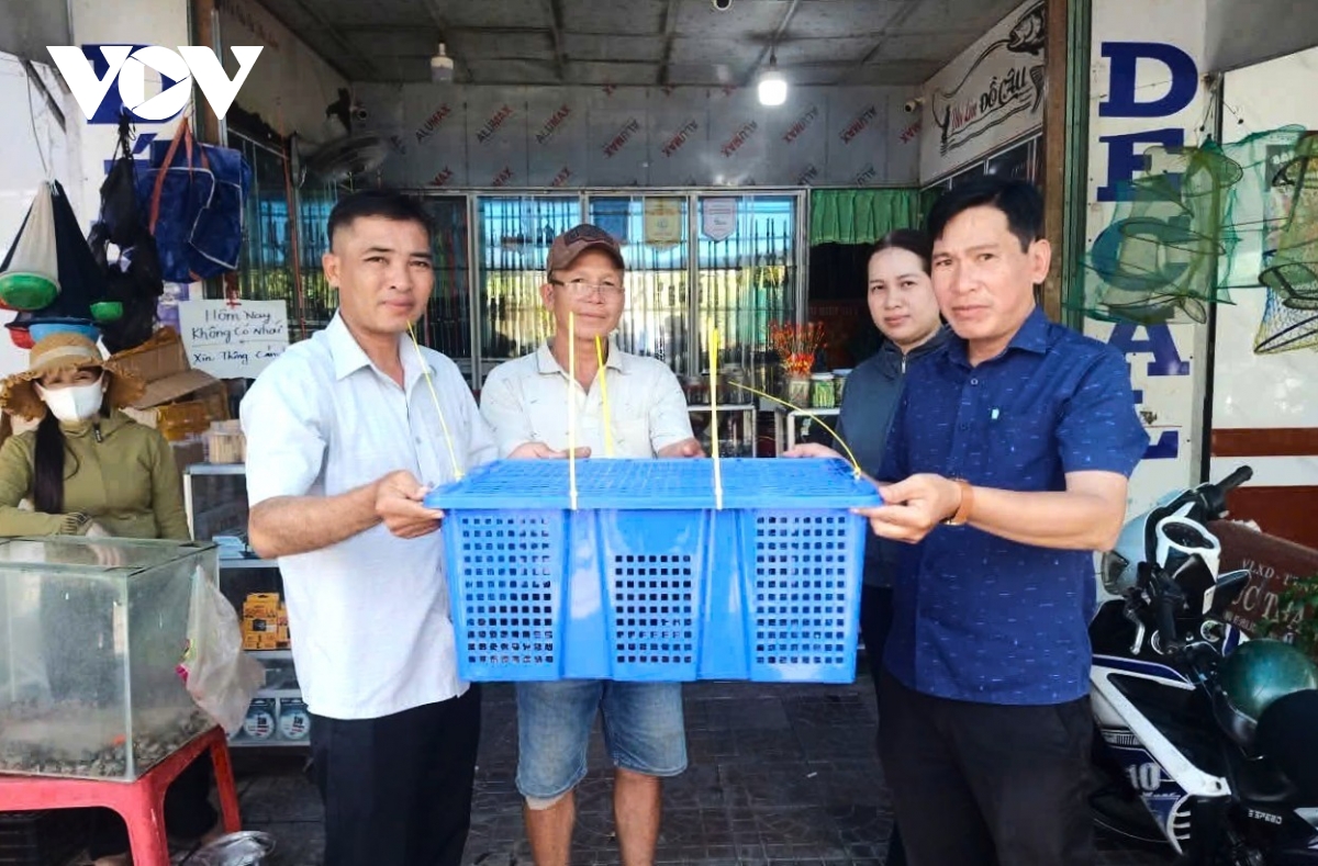 ky da hoa quy hiem bo vao phong ngu, nguoi dan bat giao nop hinh anh 2