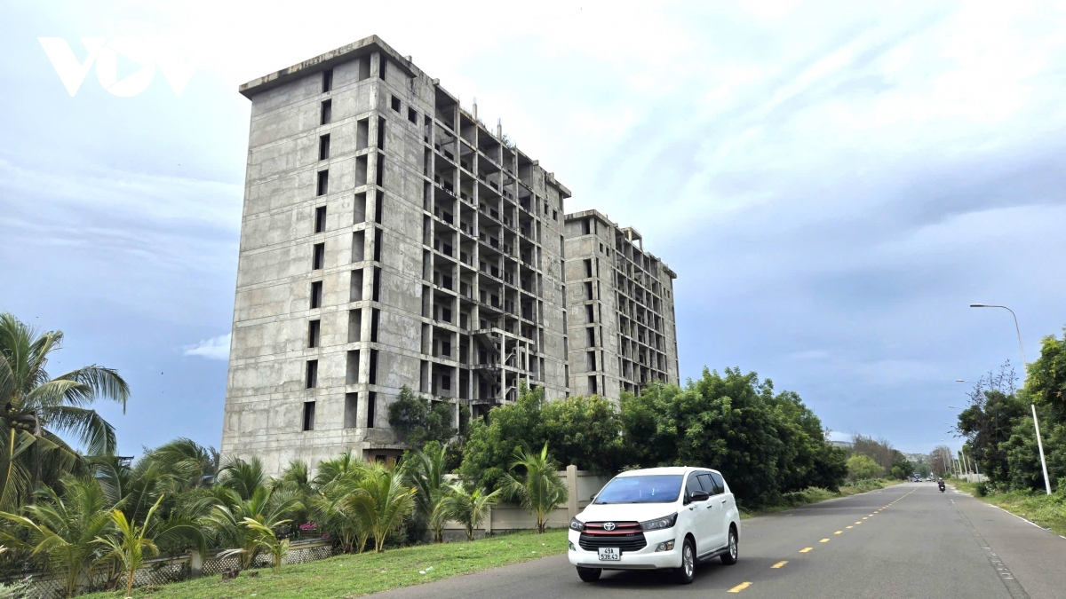 lam Dong hop ban thao go kho khan, thuc day tang truong kinh te hinh anh 2