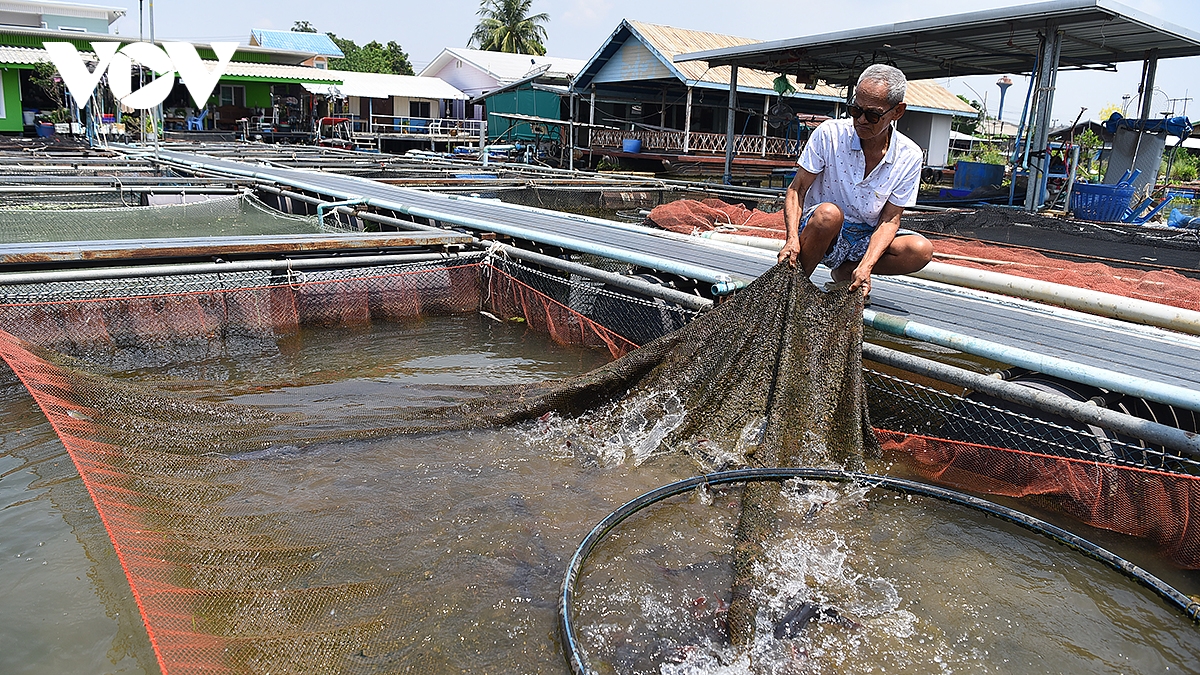 lang du lich lin chang, diem den kham pha van hoa viet hap dan tai thai lan hinh anh 6