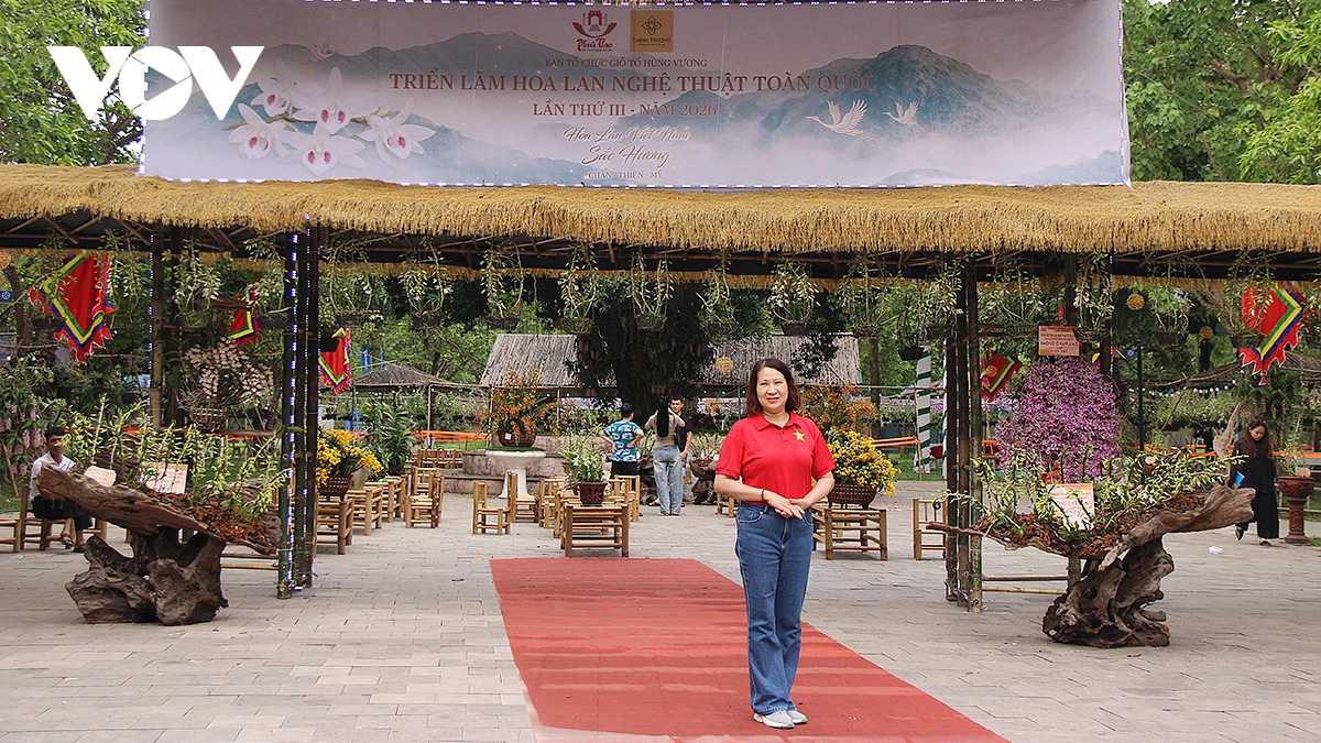 Da sac, da dang khong gian van hoa tai le hoi Den hung 2026 hinh anh 16