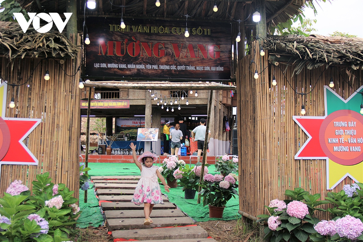 Da sac, da dang khong gian van hoa tai le hoi Den hung 2026 hinh anh 3
