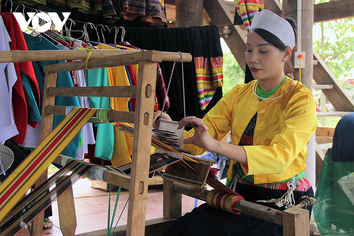 Da sac, da dang khong gian van hoa tai le hoi Den hung 2026 hinh anh 4