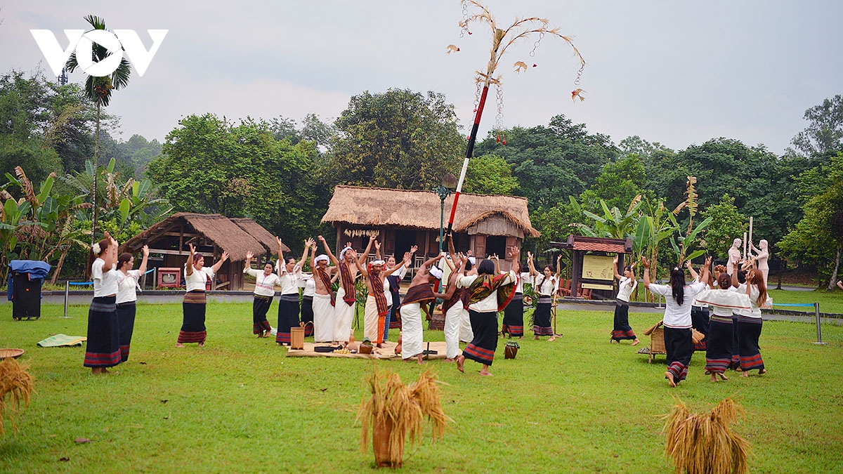 le mung lua moi cua nguoi chu ru song dong giua long ha noi hinh anh 5