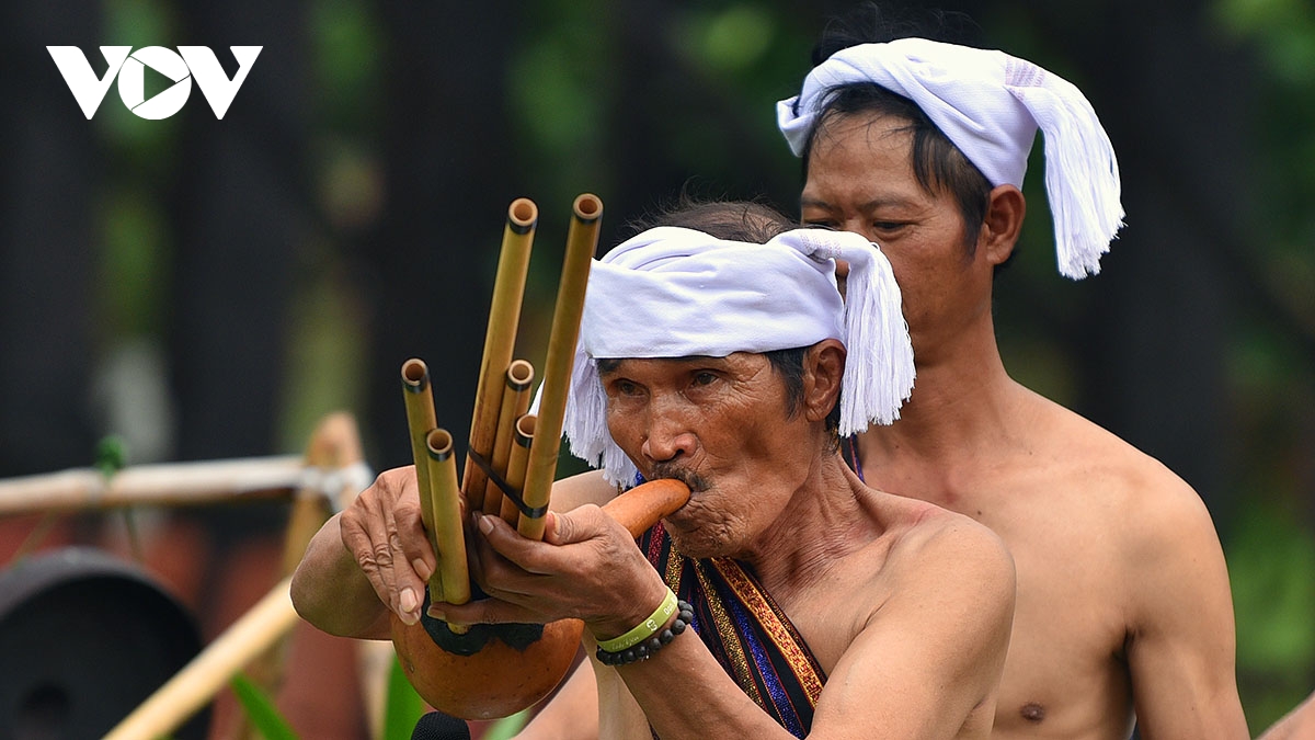 le mung lua moi cua nguoi chu ru song dong giua long ha noi hinh anh 19