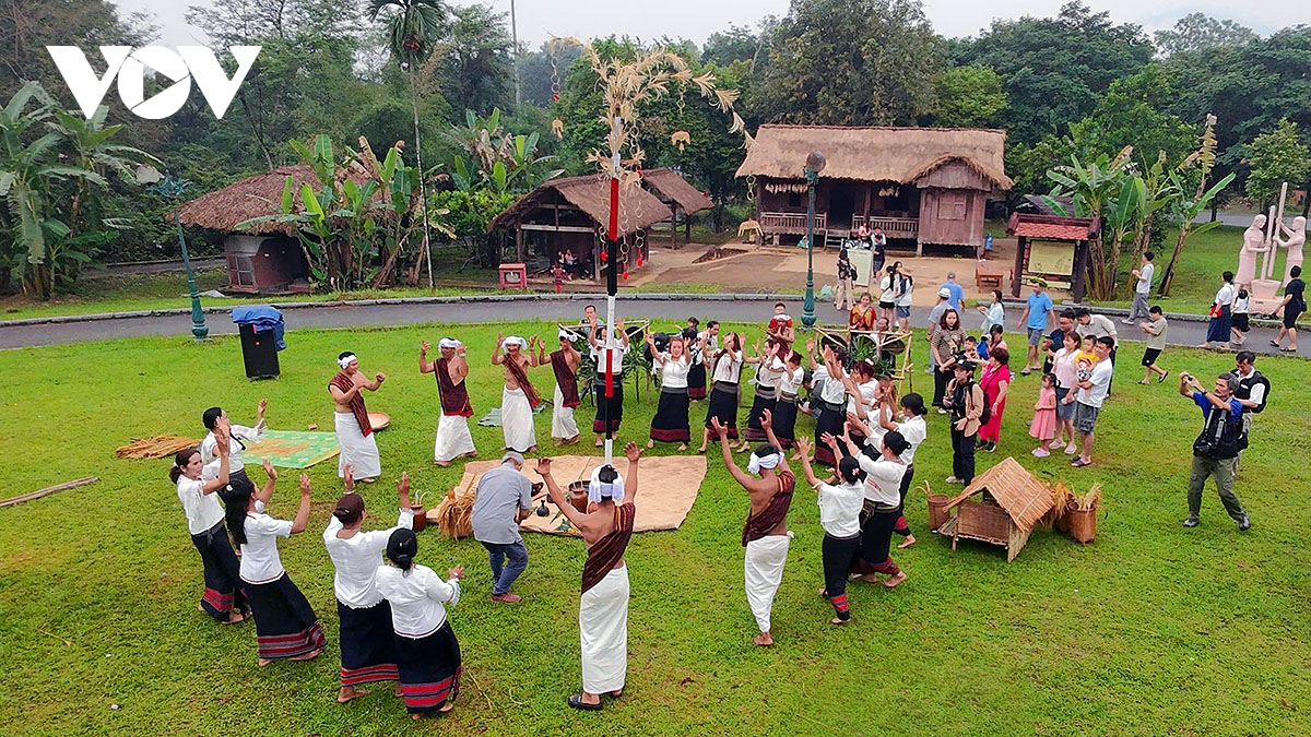le mung lua moi cua nguoi chu ru song dong giua long ha noi hinh anh 1