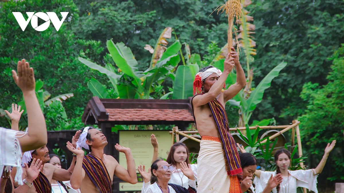 le mung lua moi cua nguoi chu ru song dong giua long ha noi hinh anh 8