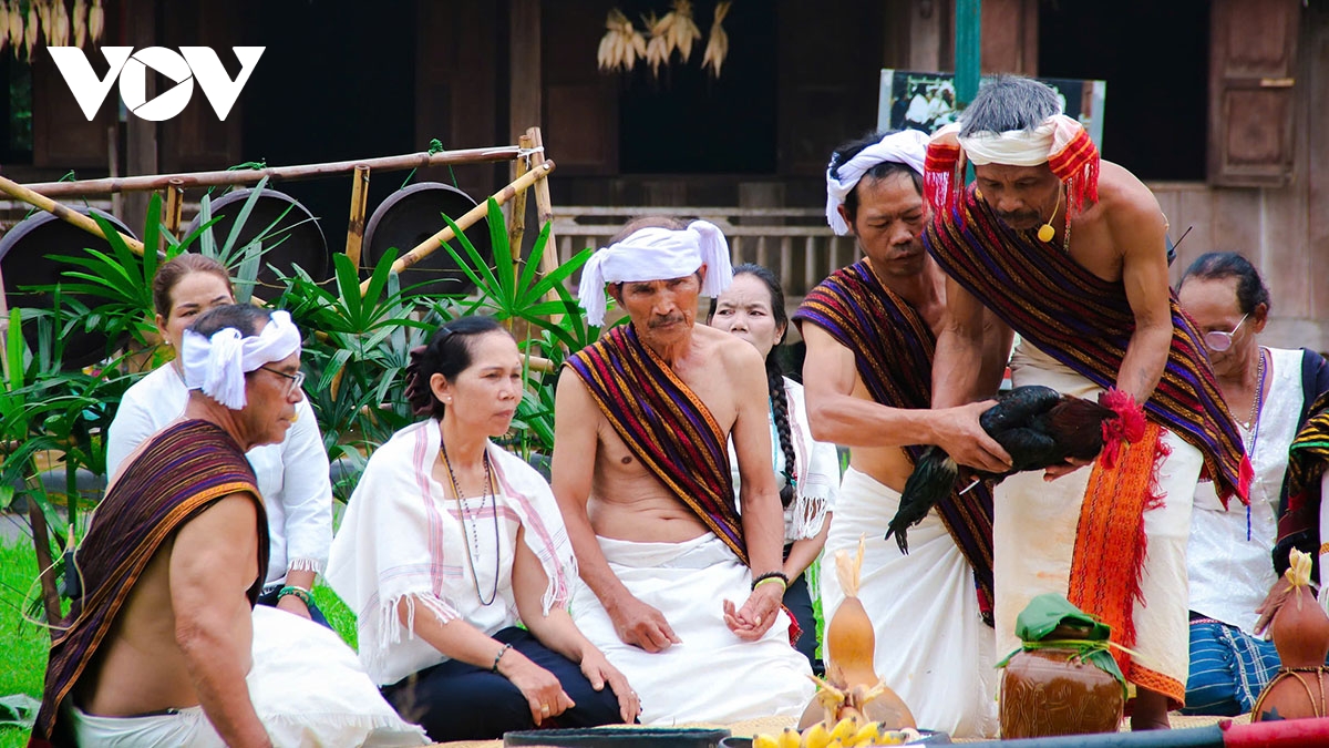 le mung lua moi cua nguoi chu ru song dong giua long ha noi hinh anh 7