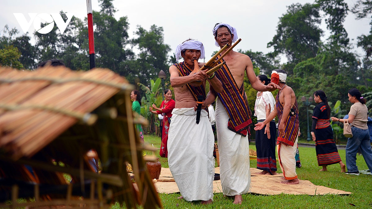 le mung lua moi cua nguoi chu ru song dong giua long ha noi hinh anh 18