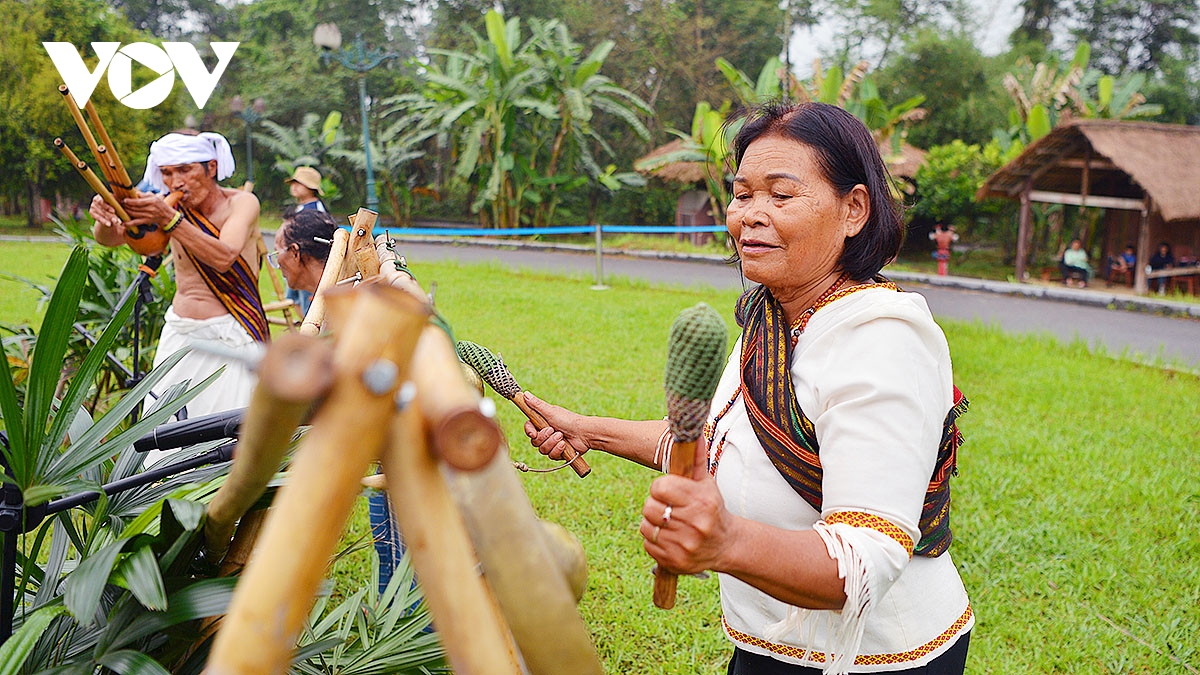 le mung lua moi cua nguoi chu ru song dong giua long ha noi hinh anh 20