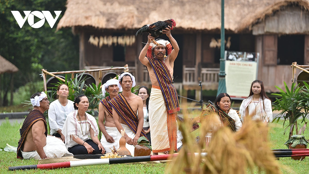le mung lua moi cua nguoi chu ru song dong giua long ha noi hinh anh 6