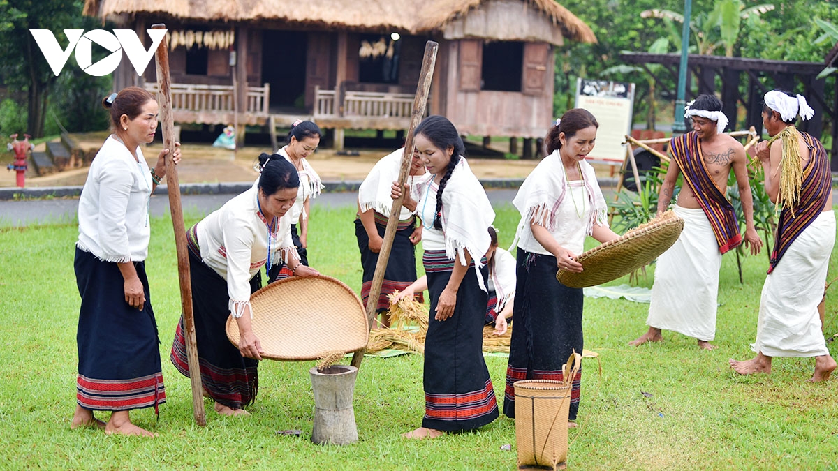 le mung lua moi cua nguoi chu ru song dong giua long ha noi hinh anh 12