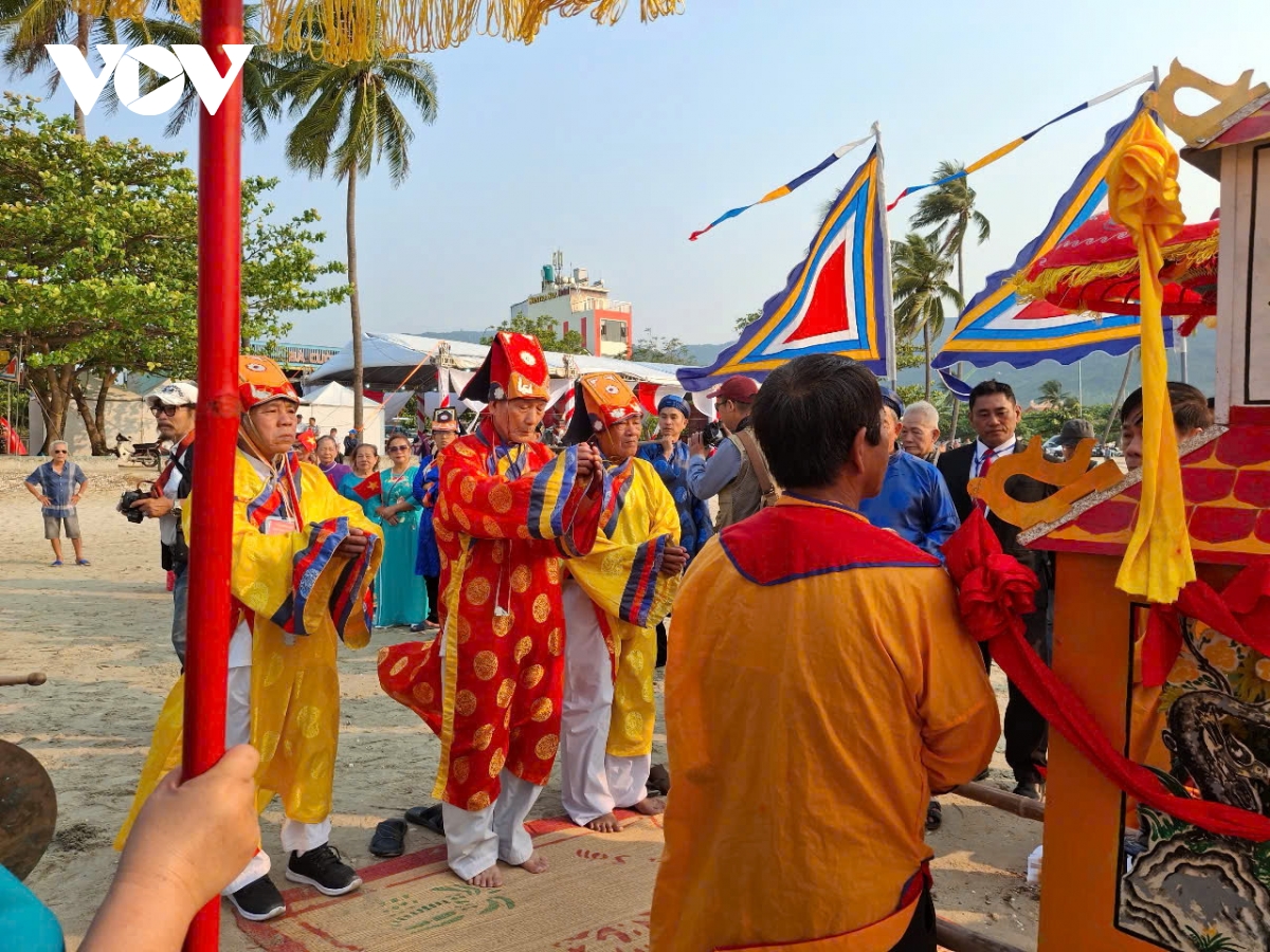 le hoi cau ngu cua ngu dan son tra Da nang hinh anh 3