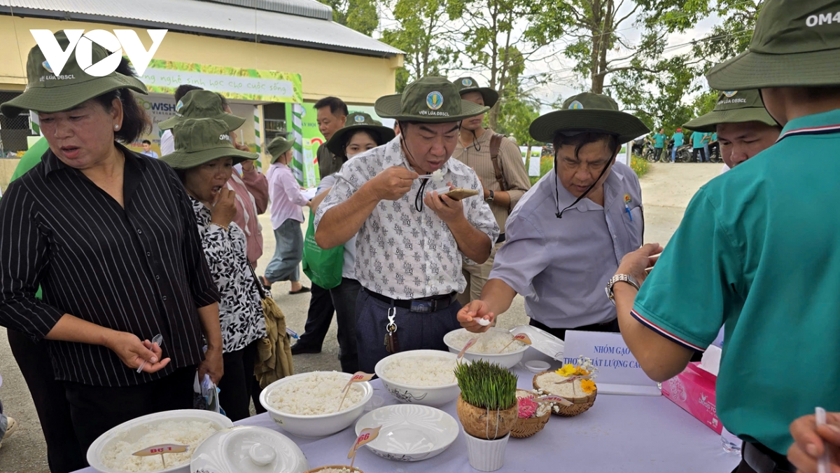 Dinh vi gao viet tren ban do the gioi tu giong lua chat luong cao hinh anh 4